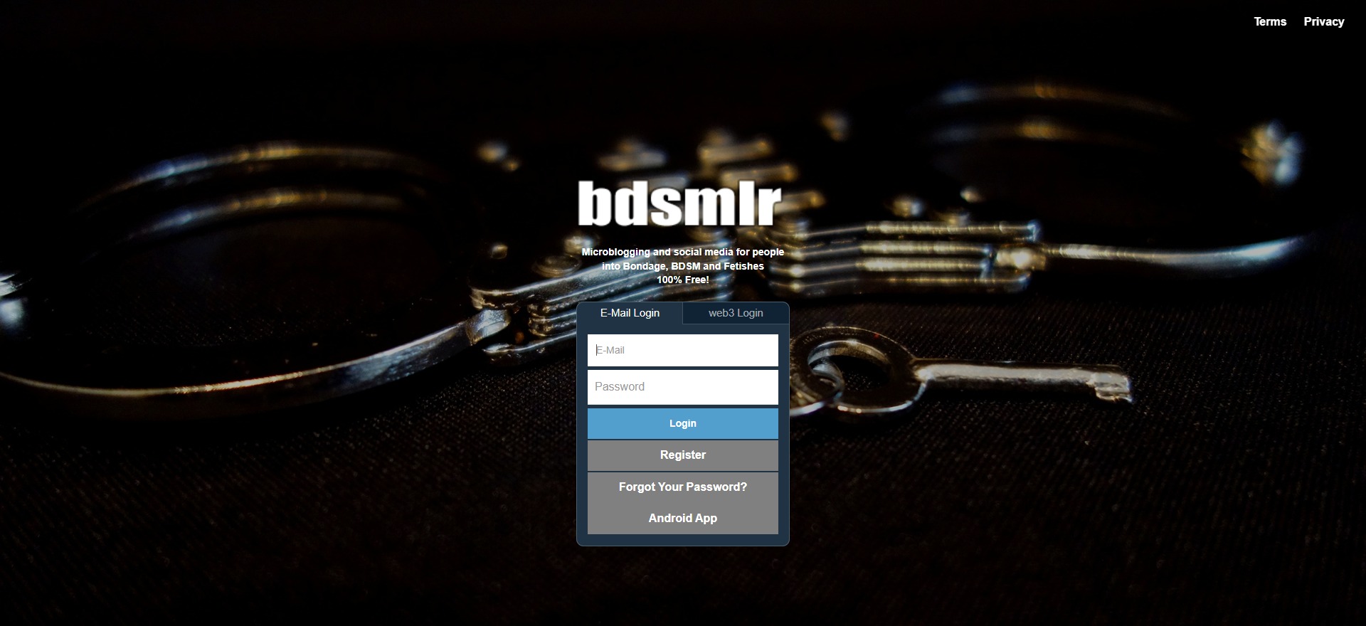 Bdsmlr: My opinion and all you need to know